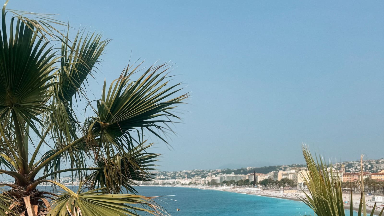 Baie de la Méditerranée bordée de palmiers sur la Côte d'Azur, destination d'un déménagement longue distance depuis Lille